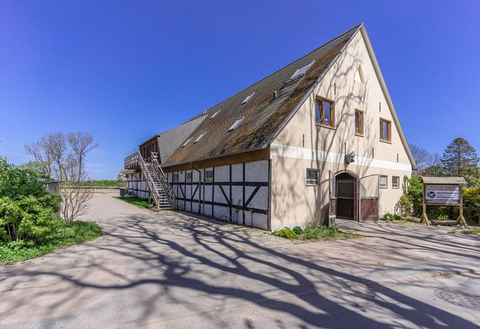 Pferdehof Königsstuhl -  Fewo 2 Lippizaner