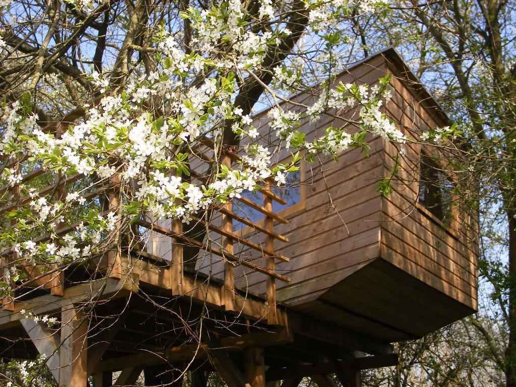 Ferienwohnung mit Fußbodenheizung, Kamin und Terrasse detail 3