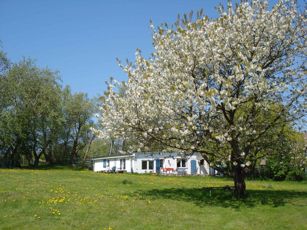 Ferienhaus mit Terrasse und großer Sonnenwiese detail 3