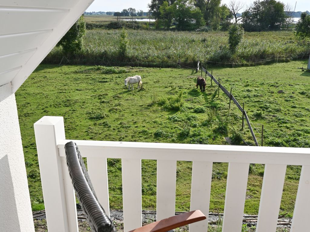 Ferienhaus mit Reetdach, großem Grundstück und Privatweg zum Hafen detail 4