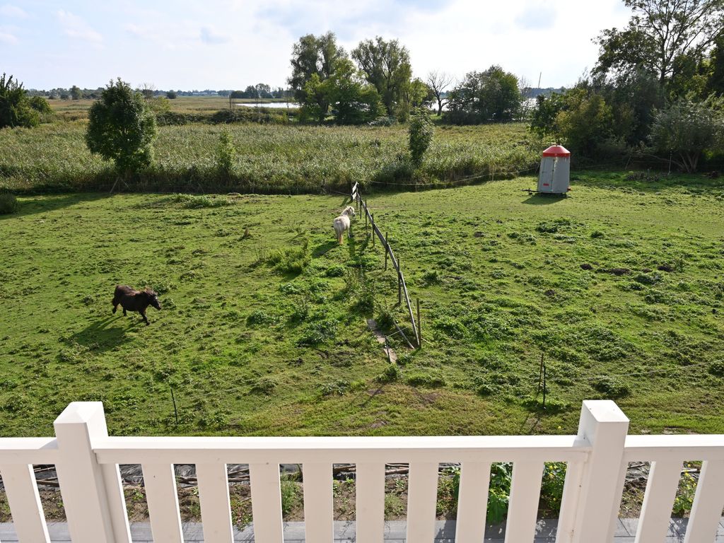 Ferienhaus mit Reetdach, großem Grundstück und Privatweg zum Hafen detail 3