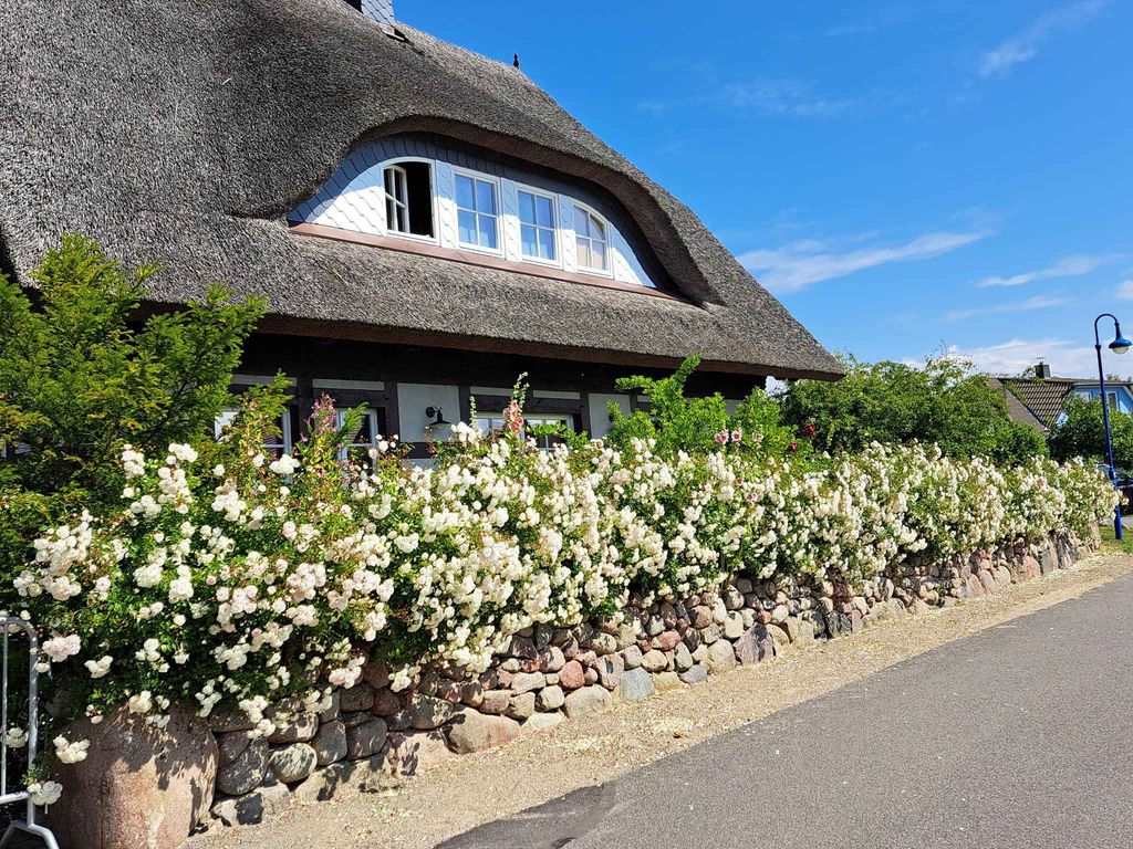 Ferienhaus mit Garten detail 1