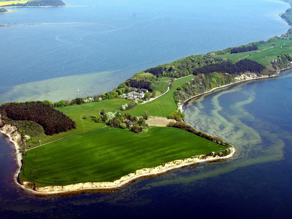 Reetdach Ferienhäuser Rügen