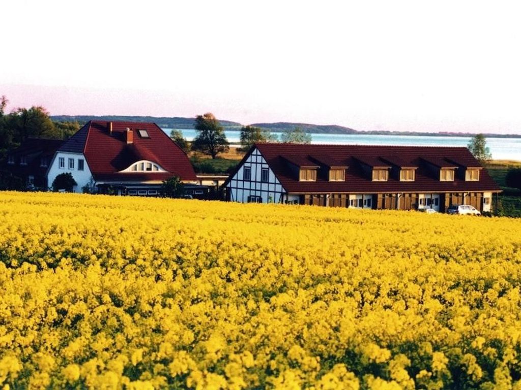 Hotel Der Wilde Schwan