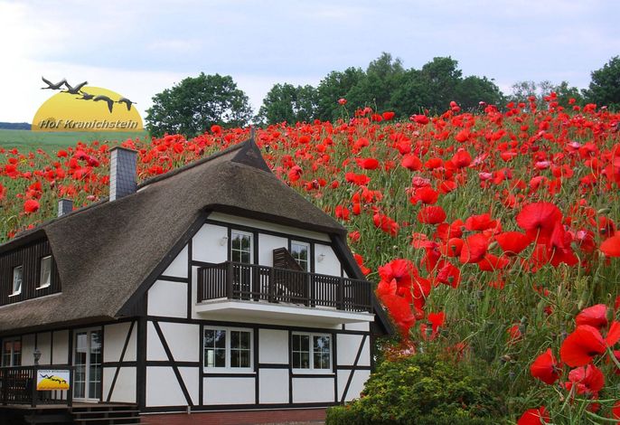 Hof Kranichstein