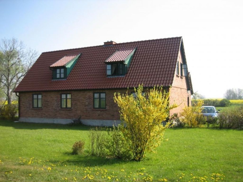 Möwe in Ummanz-Lüßvitz