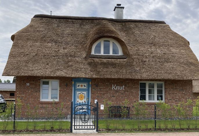Knut