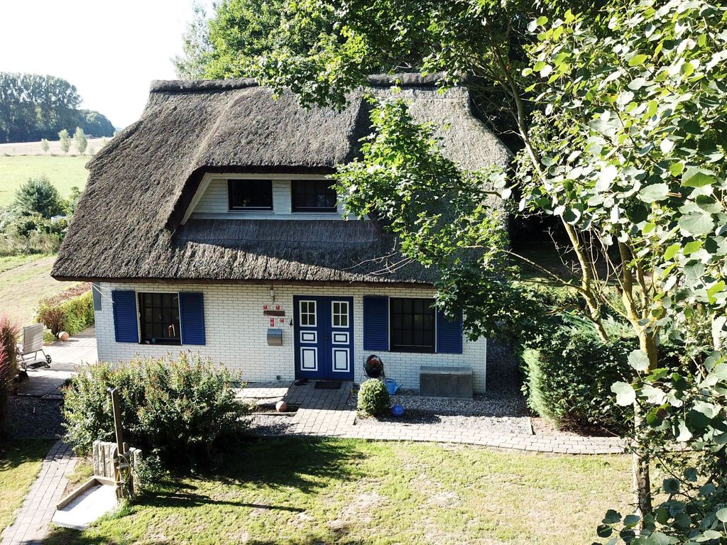 Haus-Zauberblau detail 3