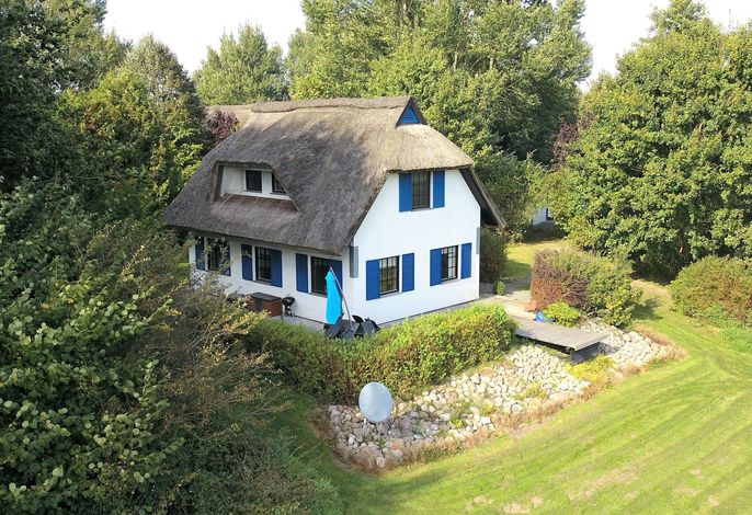 Haus-Zauberblau