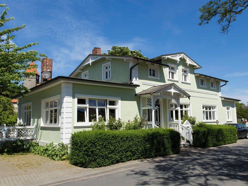 Lachmöwe