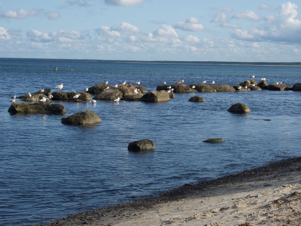 Am Strand detail 3