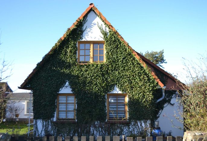 Ferienhaus Butje