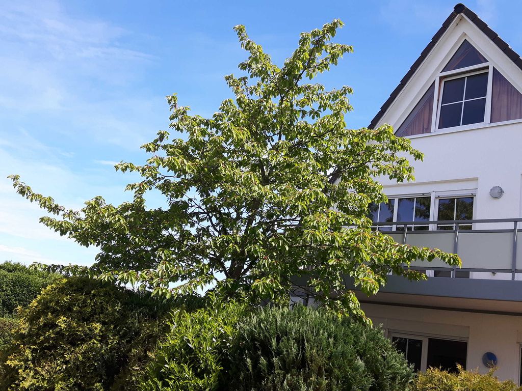 Wellenberg detail 2