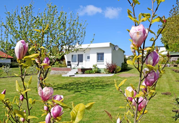 Bungalow mit Panoramarundblick und Terrasse
