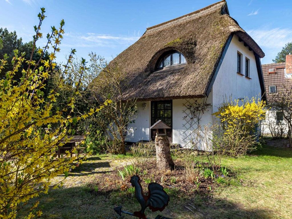Ferienhaus in Baabe mit 2 Ferienwohnungen detail 2