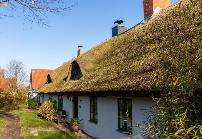 Ferienpark Vieregge - Haus 1D