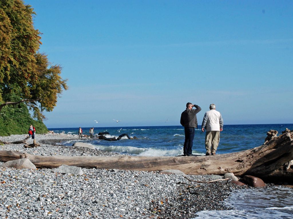 Ferienwohnungen zwischen Ostsee und Bodden detail 4