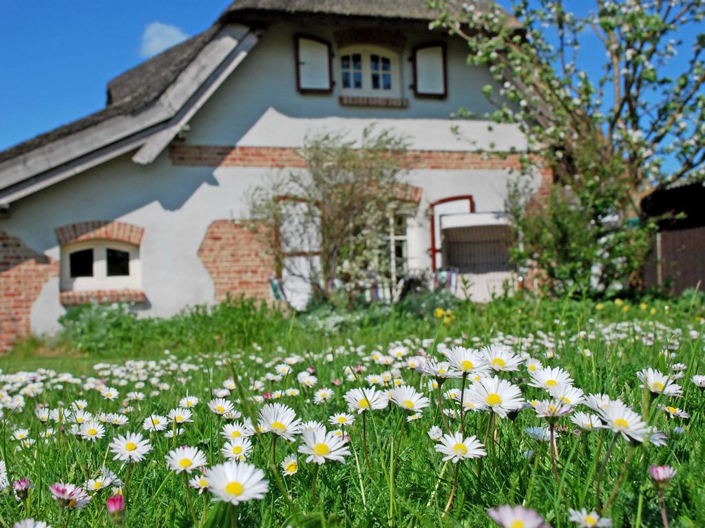 Ferienhaus Sonnenwinkel unterm Reetdach mit Sauna und Kamin detail 2