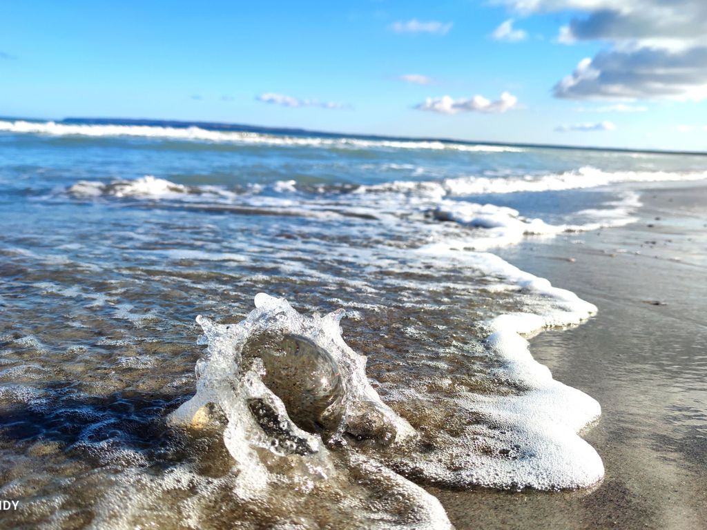 Sandbank detail 3