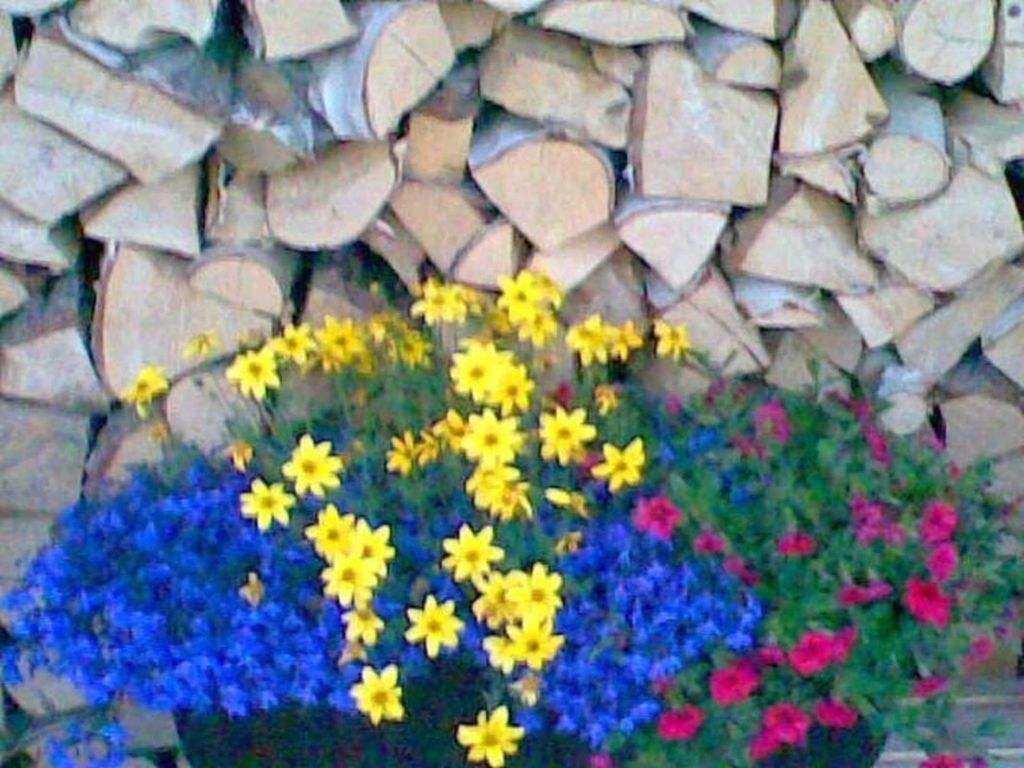 Rügen-Fewo 185 detail 4