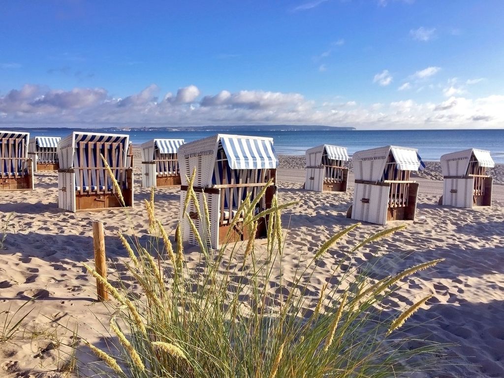 Dünenpark Binz | Wohnung 73 | Strandläufer detail 2