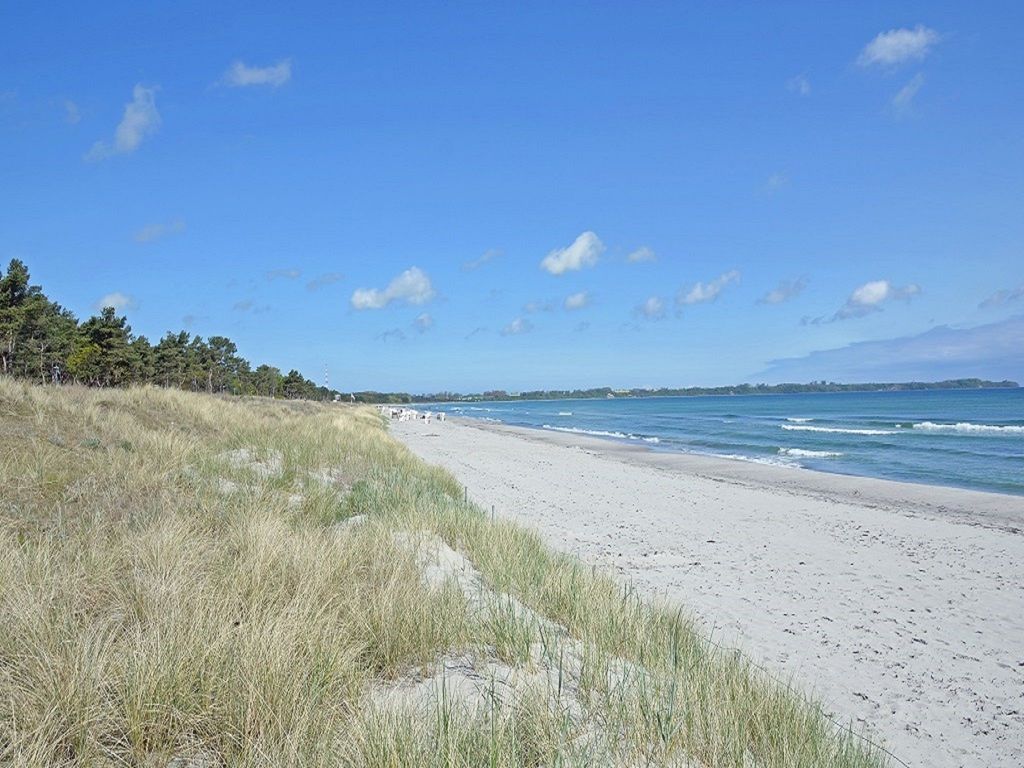 Möwennest detail 3