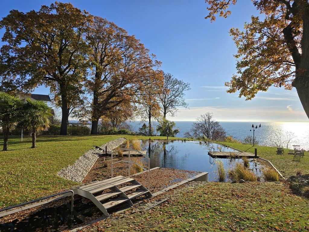 Villa Nause-FeWo Buchenfreund mit Spa und Freizeit detail 2