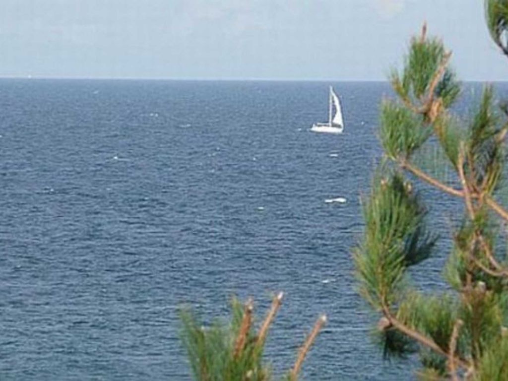 Rügen-Fewo 192 detail 4