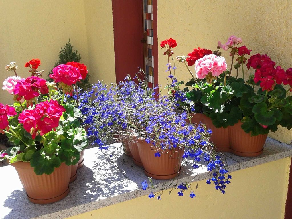 Appartement 1