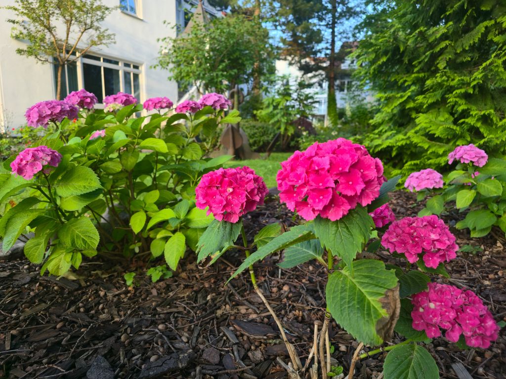 Wohnpark Binz (mit Hallenbad) detail 4