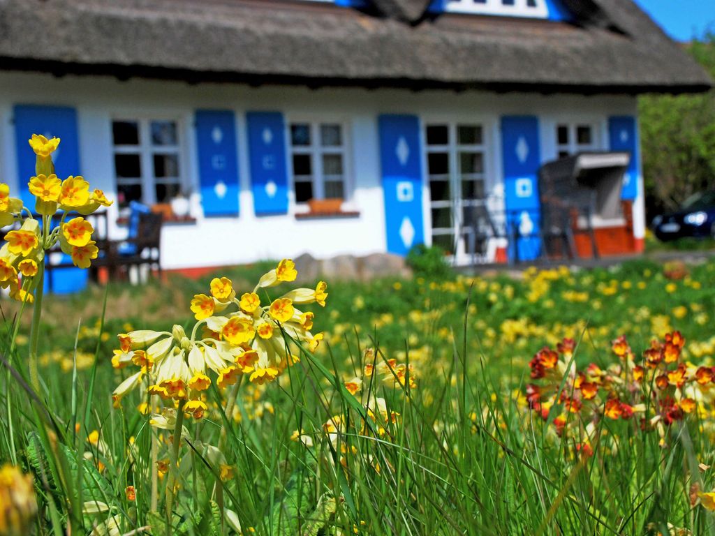 Ferienwohnung unterm Reetdach Haus Sonnenwinkel detail 3