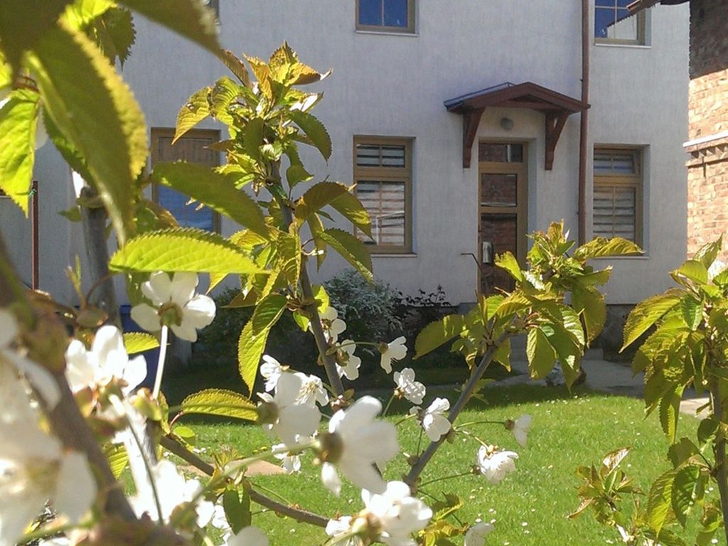 FW1 - Ferienwohnungen Otto - ruhige, zentrale Lage detail 4