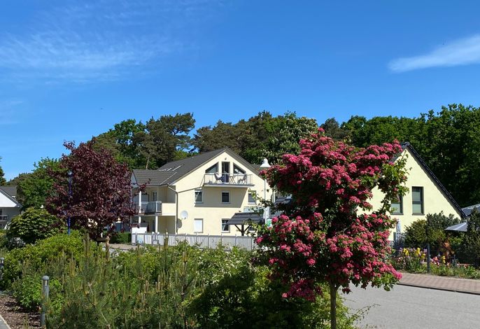 F: Ferienwohnung Ostseerausch Nr. 01 mit Terrasse
