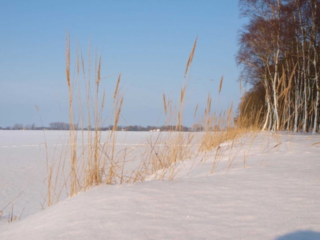 Familienfreundlicher Landurlaub im Gutshaus detail 2