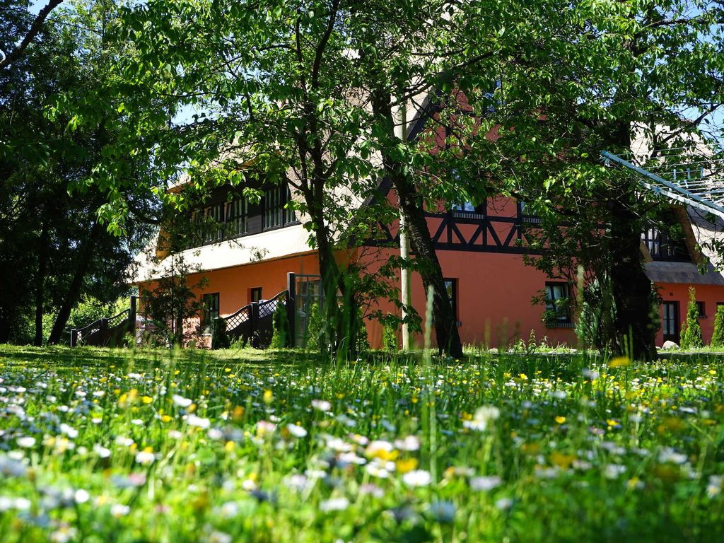 Pferdehof Bela detail 2