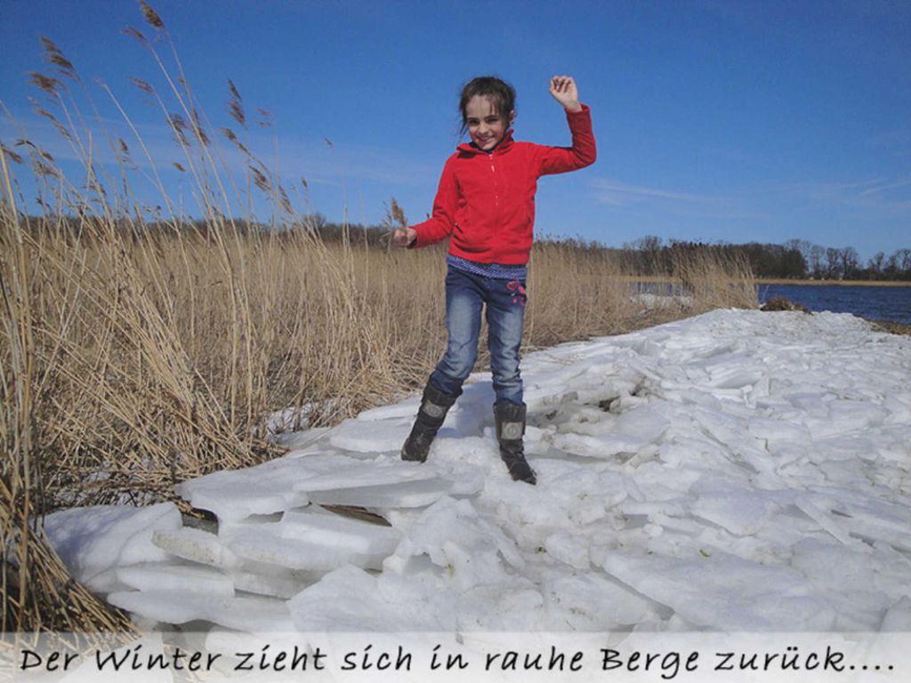 Hecht