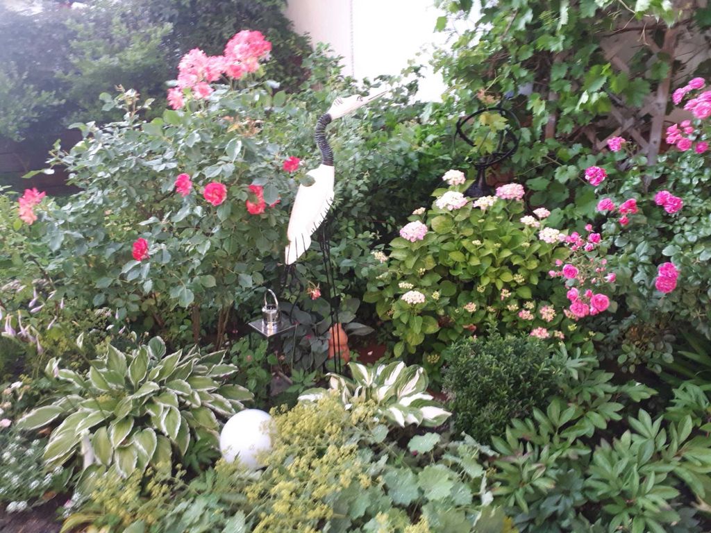 Ferienhaus im Ostseebad Baabe mit Seeblick detail 4