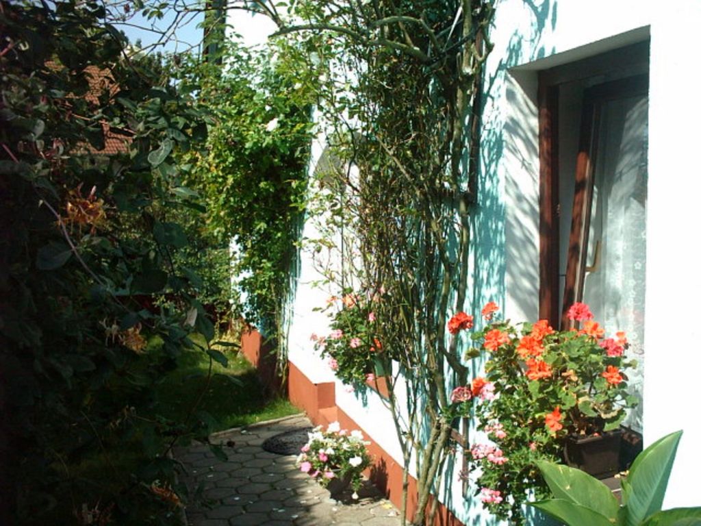 Ferienhaus & Ferienwohnung am Burgwall bei Familie Möller detail 1