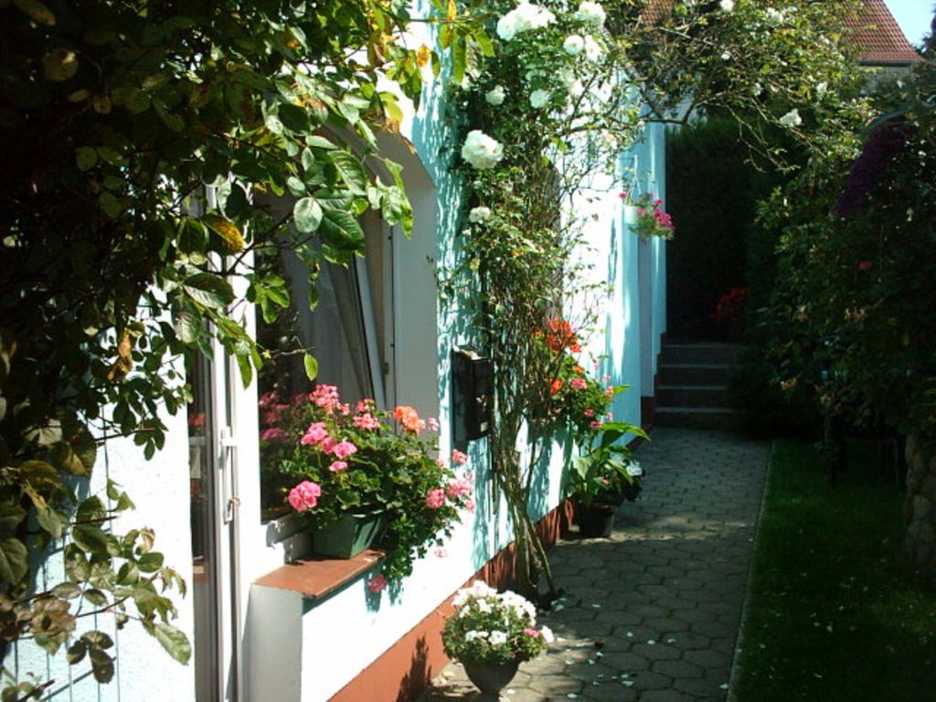 Ferienhaus & Ferienwohnung am Burgwall bei Familie Möller detail 2