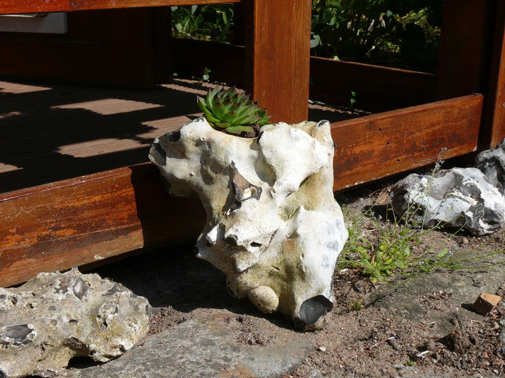FeWo Tinchen Prora Rügen detail 3
