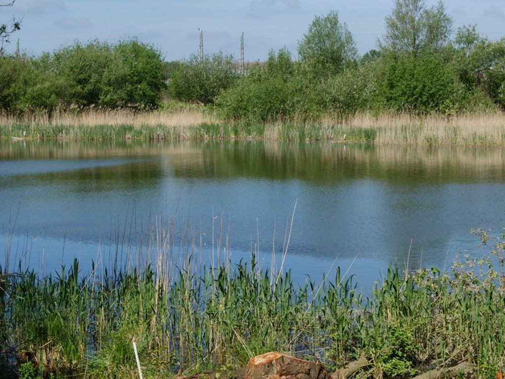 Fewo am kleinen See 2 detail 3