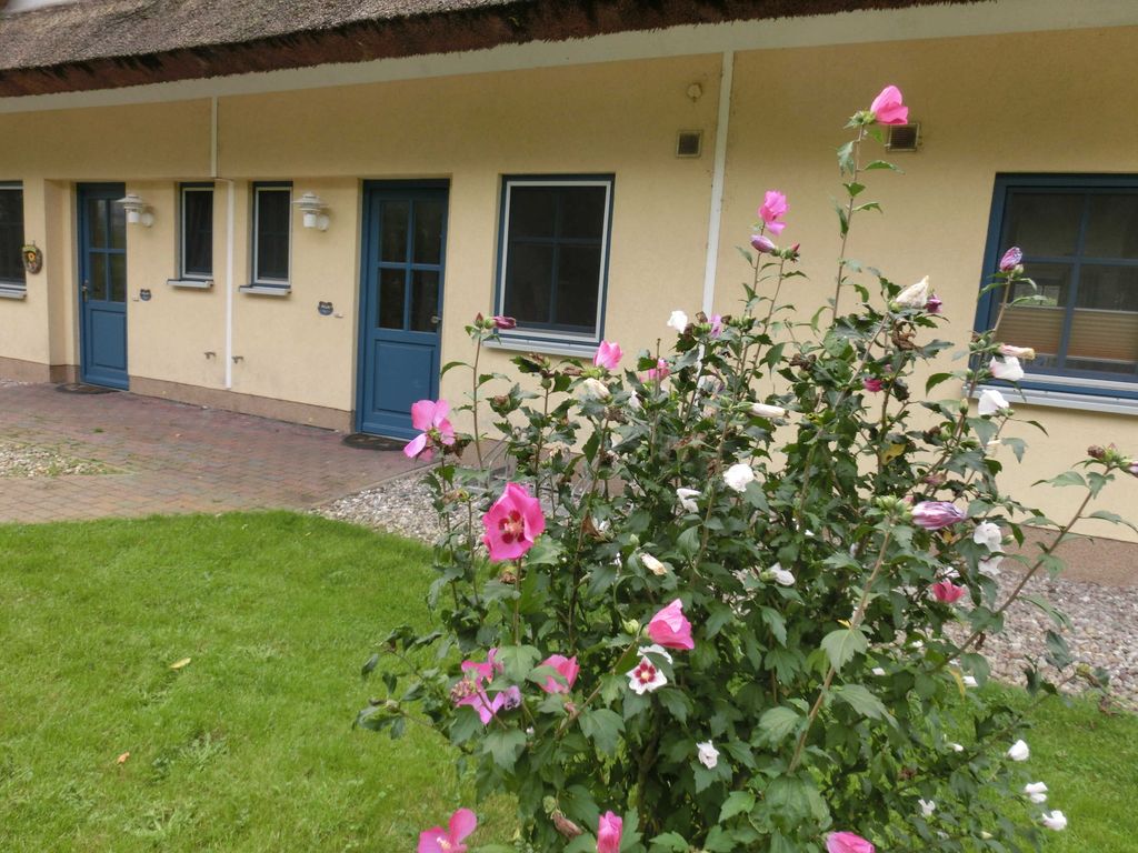 Reetdachhaus Malve 3 im Feriendorf Puddeminer Wiek detail 3