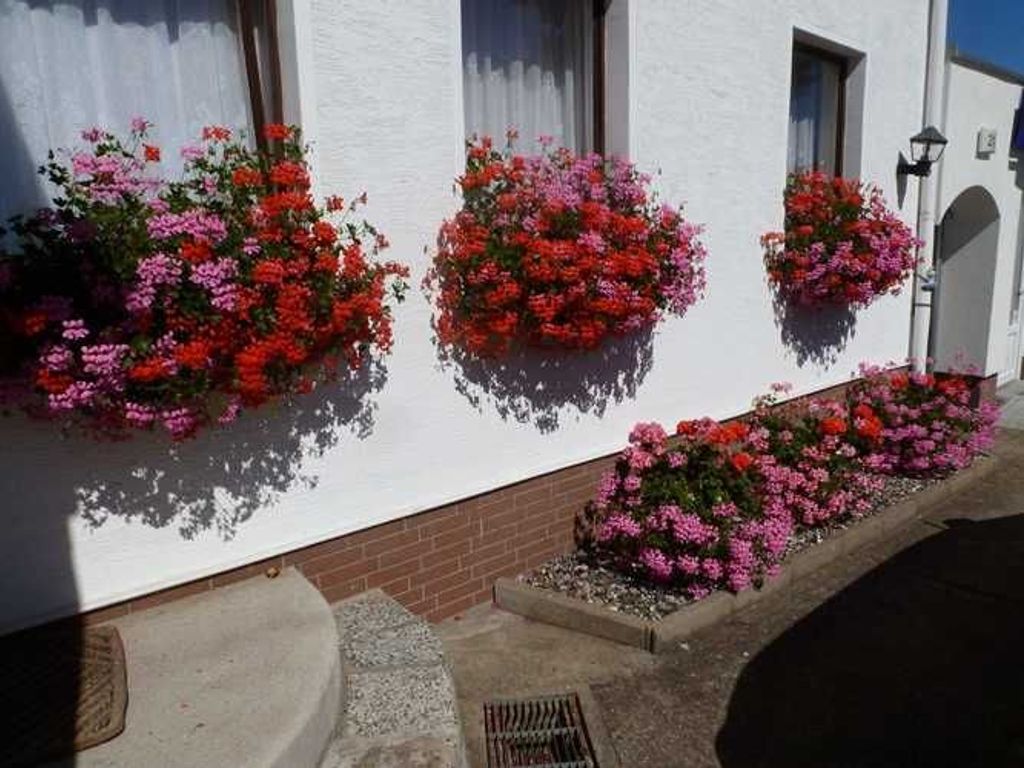 Koehler Ferienwohnung 1 - Ferienwohnungen im Ostseebad Sellin detail 4