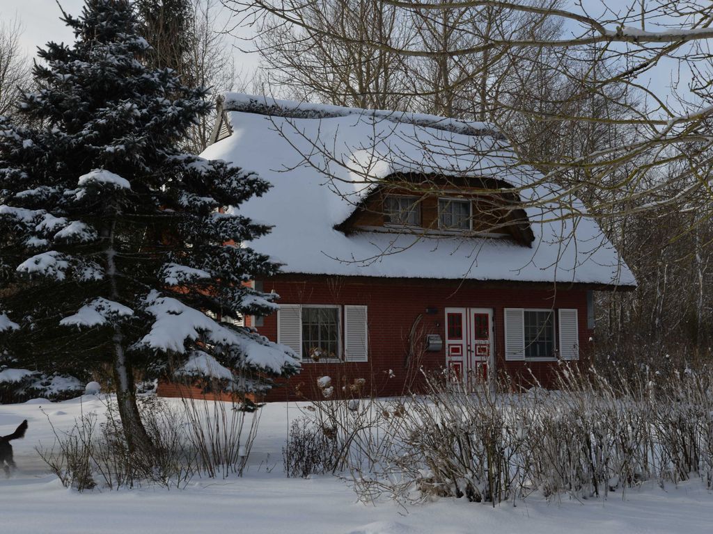 Haus-Rosenrot detail 1
