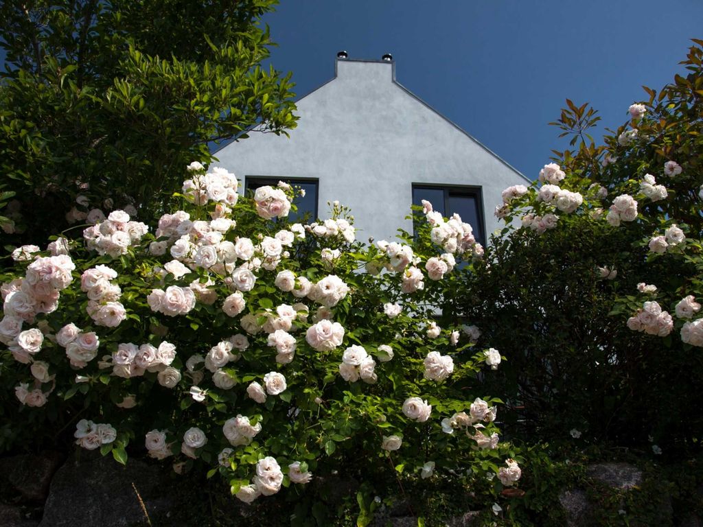 Ferienhaus Sonnensteg 23 detail 3