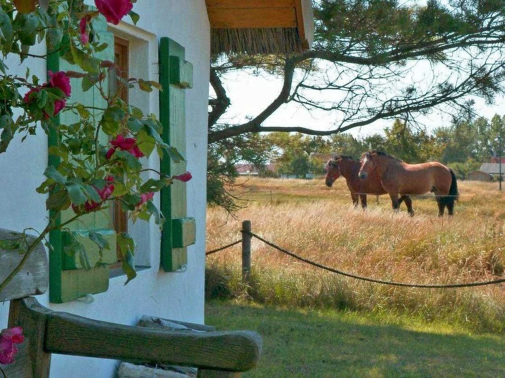 Appartement im Fischerhaus Hiddensee 33 qm detail 3