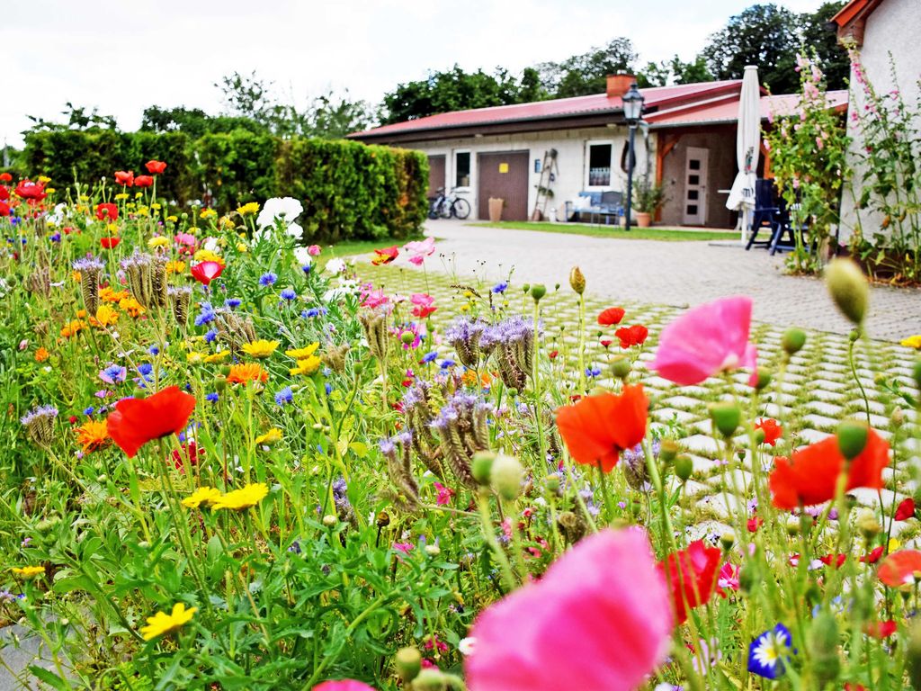 Ferienwohnungen auf dem Pommernhof mit großem Garten! detail 4