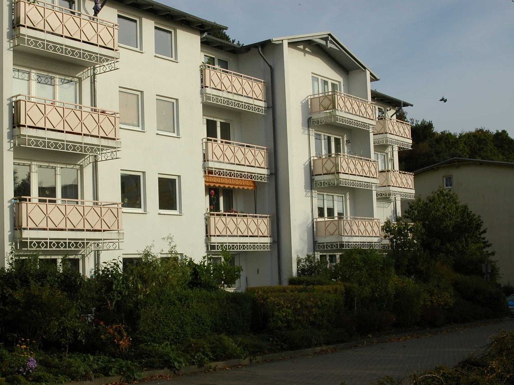 Lachmöwe