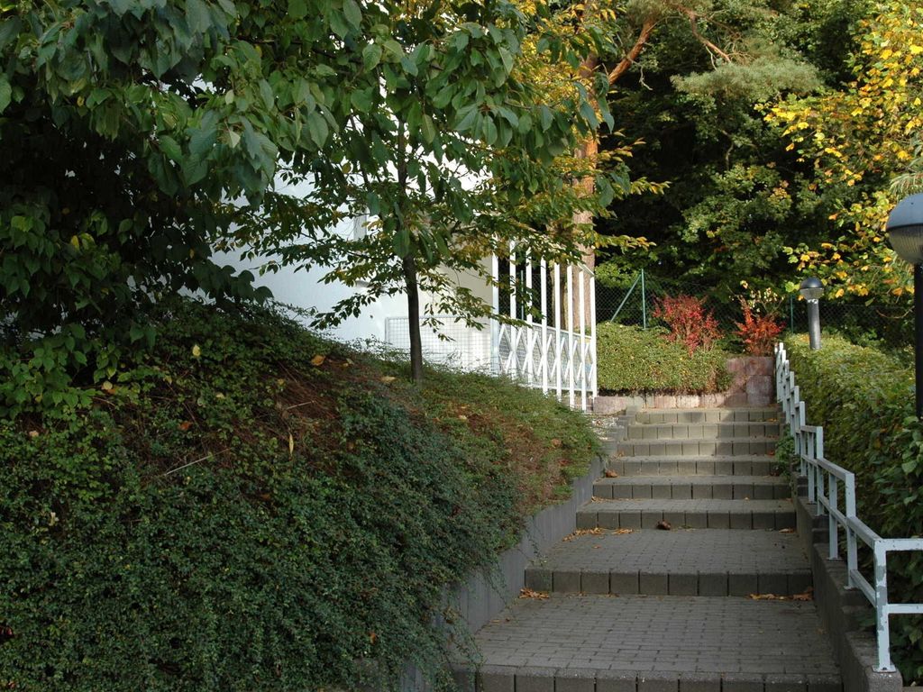 Lachmöwe detail 2