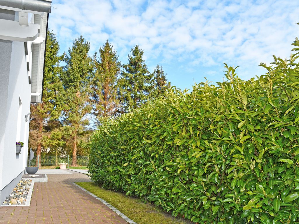 Ferienwohnung Sellin mit Terrasse am Seepark detail 3